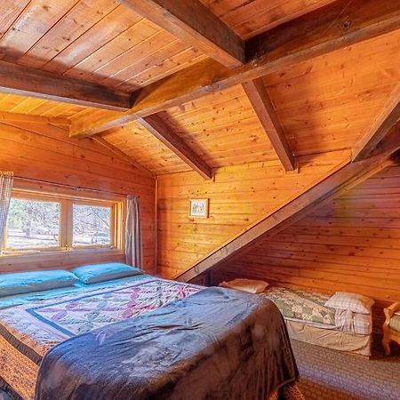 Forest Cabin 2 Birds Nest بايسون المظهر الخارجي الصورة